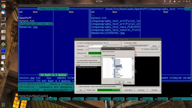 Что такое СТЕГАНОГРАФИЯ смотреть онлайн