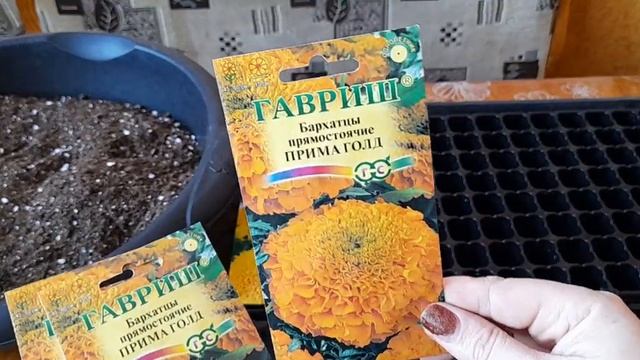 Тайшан ,дискавери,биг топ посев.??? смотреть онлайн