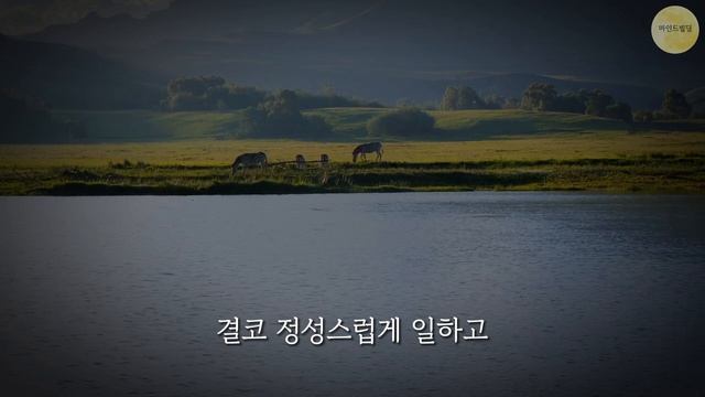 나이들기전 알아야 하는 인간관계 조언 5가지ㅣ노후까지 현명하게 사는 방법ㅣ삶의지혜ㅣ노자ㅣ도덕경ㅣ명언모음ㅣ인간관계ㅣ인생조언ㅣ처세술ㅣ행복한노년ㅣ오디오북ㅣ노후ㅣ철학ㅣ마인드빌딩ㅣ시니어ㅣ смотреть онлайн