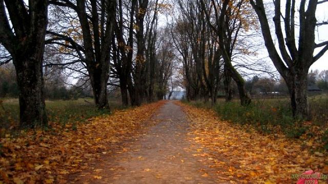 Народные приметы на первую декаду ноября.. смотреть онлайн