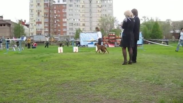 Самарский САС!В-15 мая 2011-Эльф смотреть онлайн