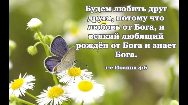 Тельман – Сердечная боль смотреть онлайн