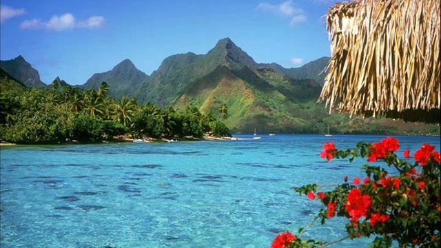 Looking for the summer - Chris Rea (Cover) смотреть онлайн