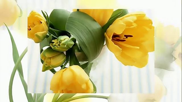 TULIPANY -FOR YOU смотреть онлайн