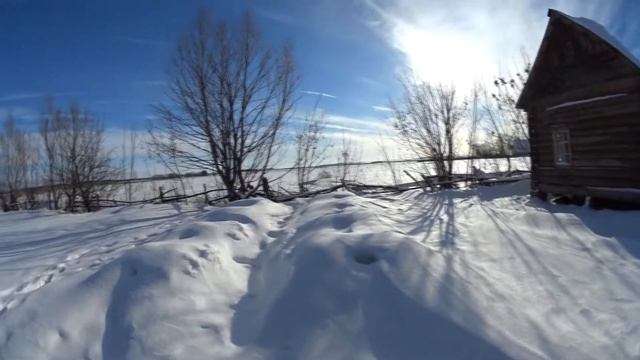 Пчёлы, зимовка, февраль