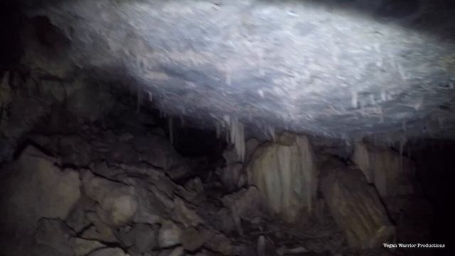 Searching for Lord Nelsons blue Diamond, Menorca смотреть онлайн