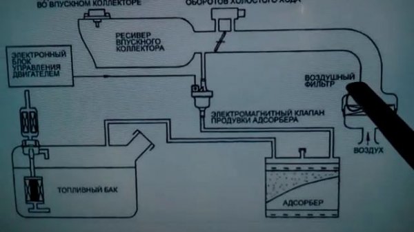 Как правильно отключить адсорбер