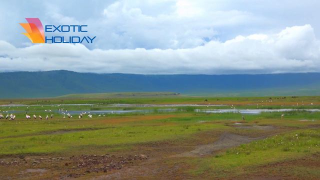 Ngorongoro, Tanzania 4K bluemaxbg.com смотреть онлайн