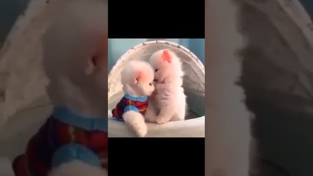 Животный мир оказался добрее и милосерднее человека. Люди, мы деградируем... смотреть онлайн