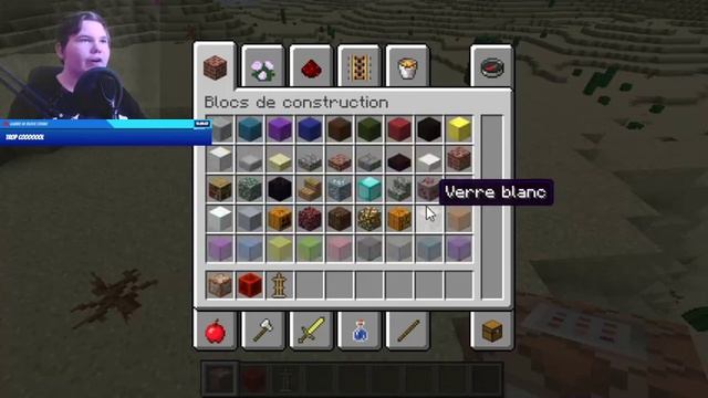 Live sur minecraft j’invoque entity 303 sur minecraft java édition pc смотреть онлайн