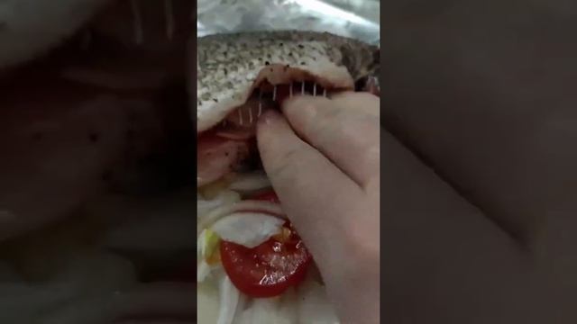 Спортивные Моменты и Забавы