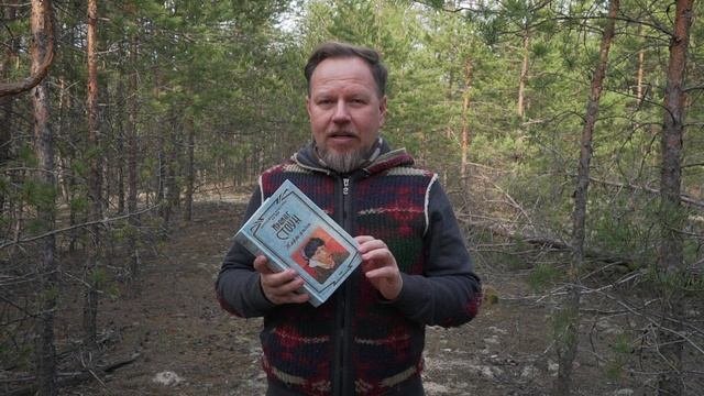Биография Ван Гога. Ирвинг Стоун "Жажда жизни". Отзыв о книге. смотреть онлайн