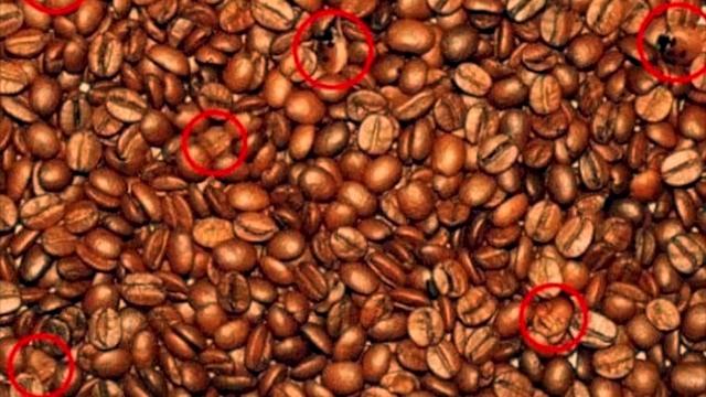 Сложная загадка. Сможете ли Вы найти скрытые объекты? смотреть онлайн