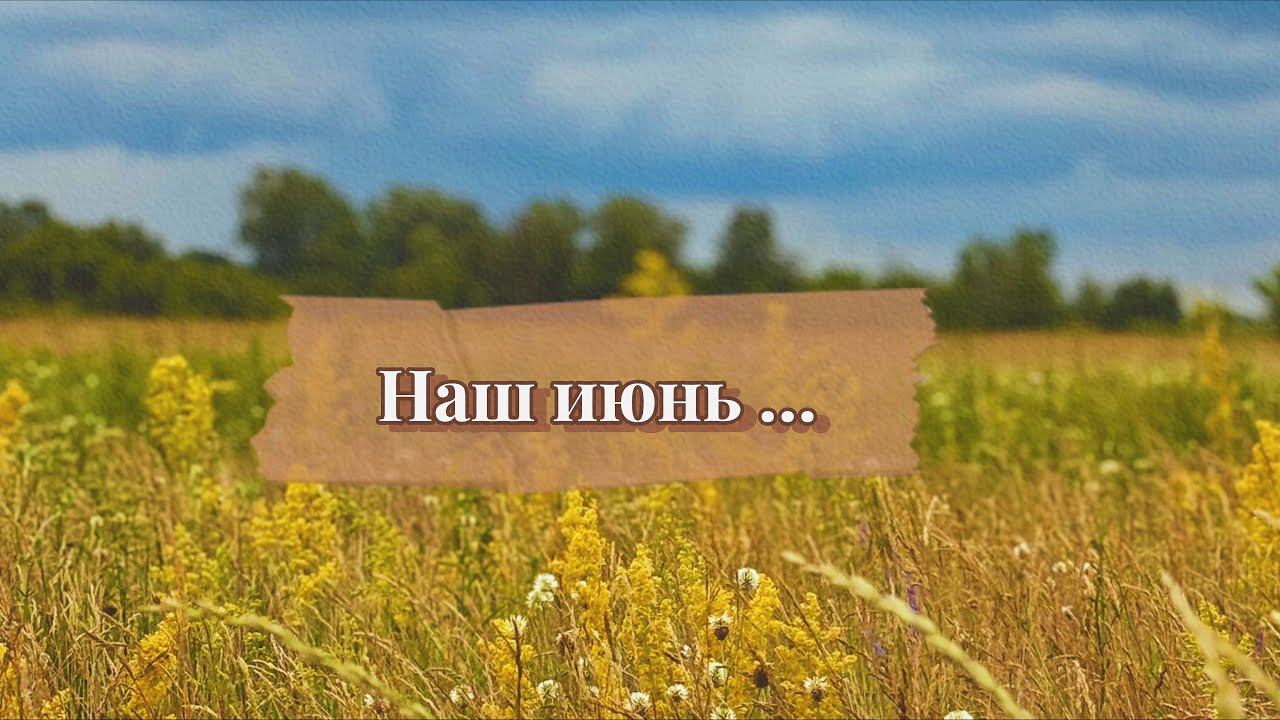 Летние дни// Вывезли землю с муравьями// Нашествие бабочек//Июнь смотреть онлайн