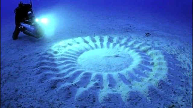Ученые гадали, откуда на дне моря берутся эти узоры. Правда оказалась неожиданной! смотреть онлайн