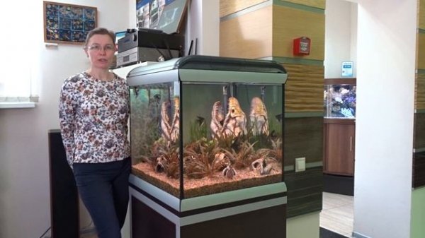 Скидки и подарки от Ferplast