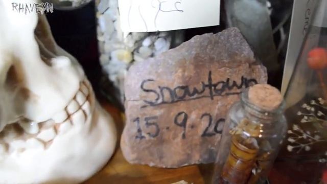 Oddities Collection Tour смотреть онлайн