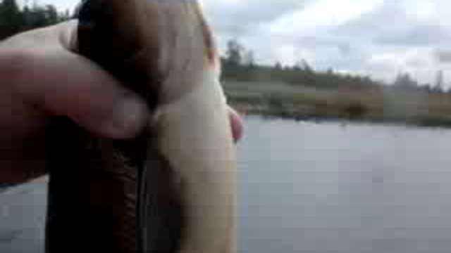 ЯЯЯЗЬ!!!!!!!!!!!