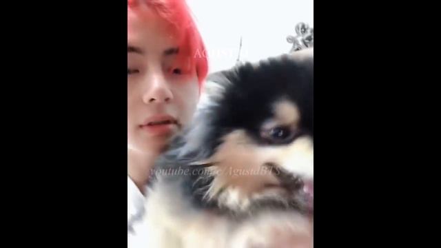 BTS BEING SOFT FOR YEONTAN смотреть онлайн