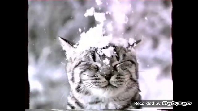 whiskas новый год 2004-2005 реклама смотреть онлайн