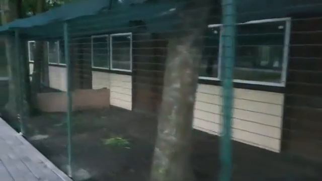 Старый парк в Дружковке.Место для любителей тишины смотреть онлайн