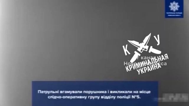 Во Львове копы остановили пьяного водителя, чем он был не очень рад. смотреть онлайн