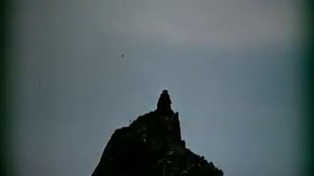 Monty Python Holy Grail Trailer смотреть онлайн