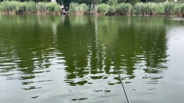 Рыбалка в Любимовке Отчет о рыбалке 25 07 2022 смотреть онлайн