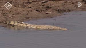 Луангва / Дикие реки Африки