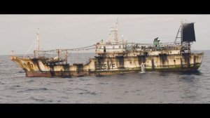 Distant Waters | Full film | Sea Shepherd Global