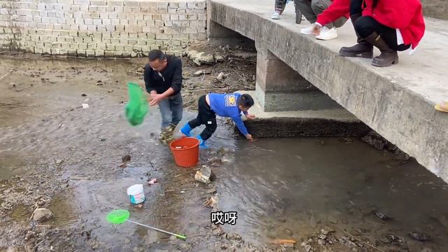 二哥和乐乐在桥底抓鱼，十分钟就上货了一桶，鱼货太多根本抓不完 смотреть онлайн