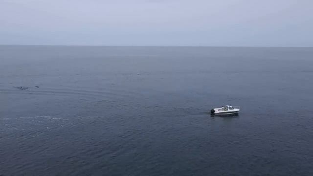 Winter Lure Fishing for Cod and BIG Pollack | Sea Fishing UK смотреть онлайн