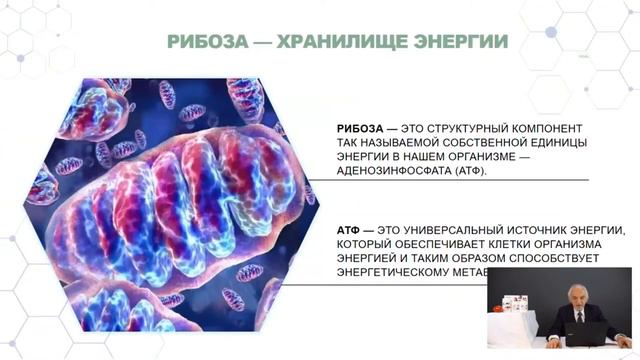 LR Sell Essence Energie - об энергии клеток В.Дадали смотреть онлайн