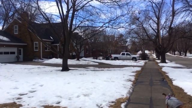 Прогулка с воспоминаниями Флориды и покупке дома смотреть онлайн