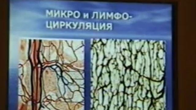 Нейрофизиологические основы мануальной медицины Part 1 смотреть онлайн