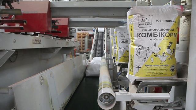 Человеческий код: мысль и чувство