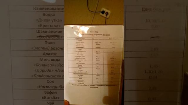Саша ТВ - обзор номера в гостинице лучеса г. Витебск смотреть онлайн