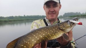 ЩУКА НА ПОВЕРХНОСТНЫЕ ПРИМАНКИ