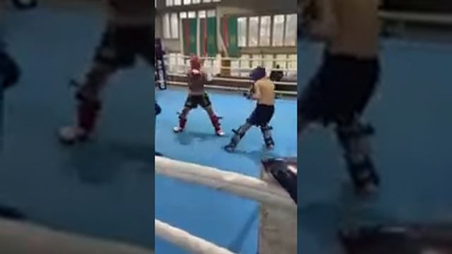 kik boks strahil velikov do 45 kg 13-14 gd shumen смотреть онлайн