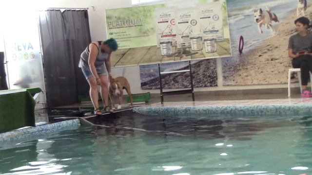 Сидельникова Полина и Арлетт Водный Fast&Greedy( драйф ) 22.08.20 смотреть онлайн