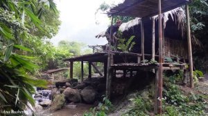 Full Video : Building Bamboo Houses, Gardening, Farm | 365 Days Living Off The Grid | ana bushcraf