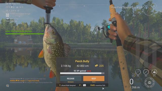 Fishing Planet - Lesni Vila Perch Bully Monster смотреть онлайн