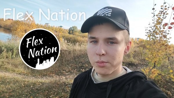 КОРОТКАЯ ИСТОРИЯ МОЕГО ПРОЕКТА "Flex Nation"