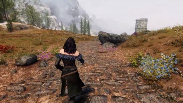 Skyrim Mods 4K - Skyrim "Witcher" Edition смотреть онлайн