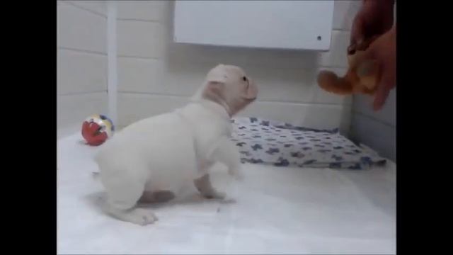 илларион выход смотреть онлайн