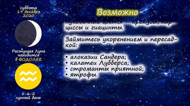 [19 декабря 2020] Лунный посевной календарь огородника-садовода | Флористикс Инфо смотреть онлайн