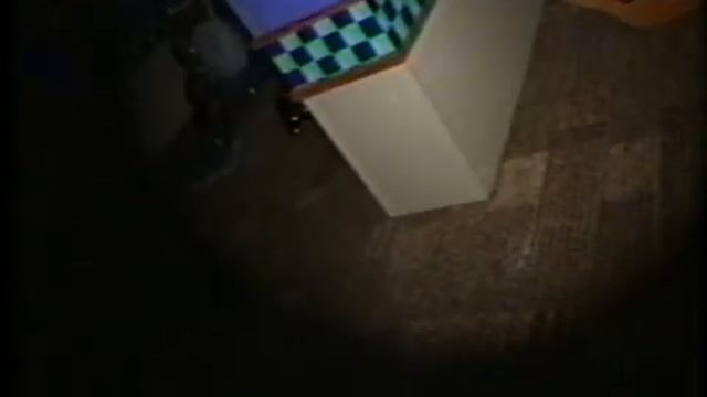 Paranormal Activity FNAFVHS