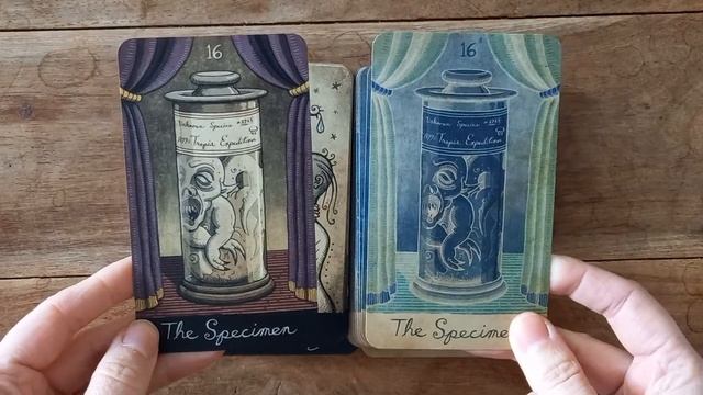 Abandoned Oracle side by side Original & X-ray editions. смотреть онлайн