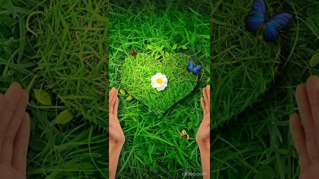 Не признак - Мудрая притча, учение слушать онлайн.mp4 смотреть онлайн