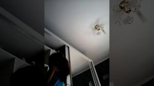 Как делать пуанты дома